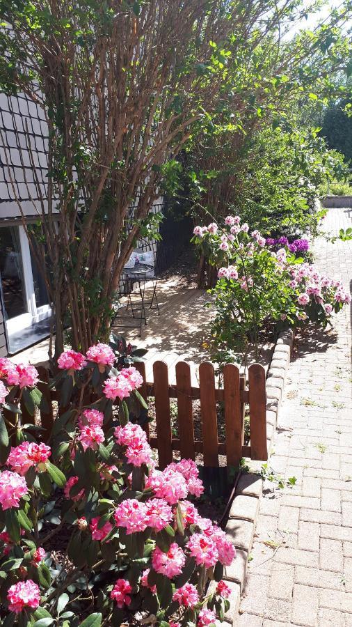 Ferienwohnung 43Qm Torf 10 Naehe Moehnesee Warstein Dış mekan fotoğraf